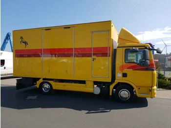 شاحنة نقل خيل MAN TGL 10.180 Euro 4  Pferdetransporter Horse: صور 3