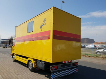 شاحنة نقل خيل MAN TGL 10.180 Euro 4  Pferdetransporter Horse: صور 5