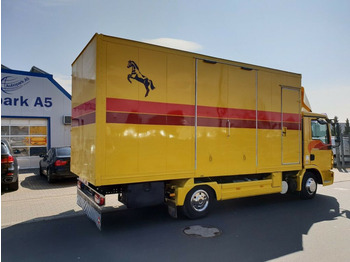 شاحنة نقل خيل MAN TGL 10.180 Euro 4  Pferdetransporter Horse: صور 4