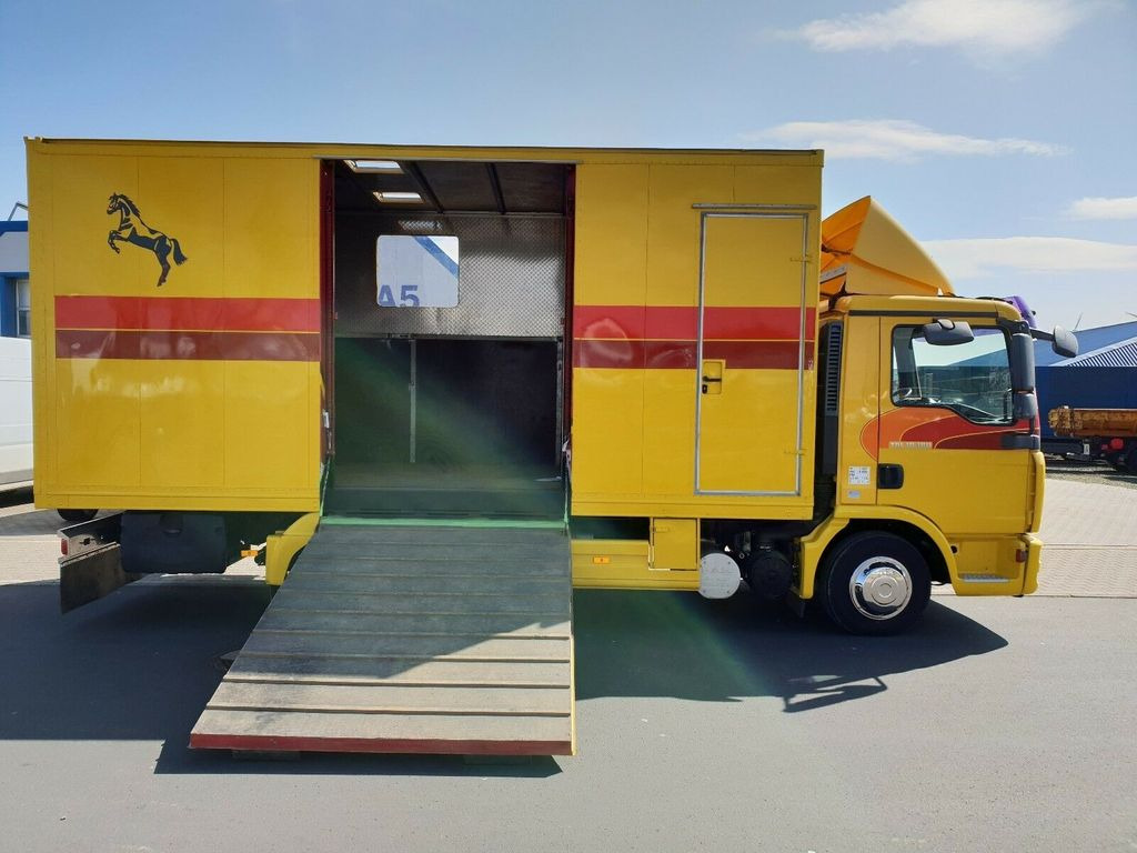 شاحنة نقل خيل MAN TGL 10.180 Euro 4  Pferdetransporter Horse: صور 11