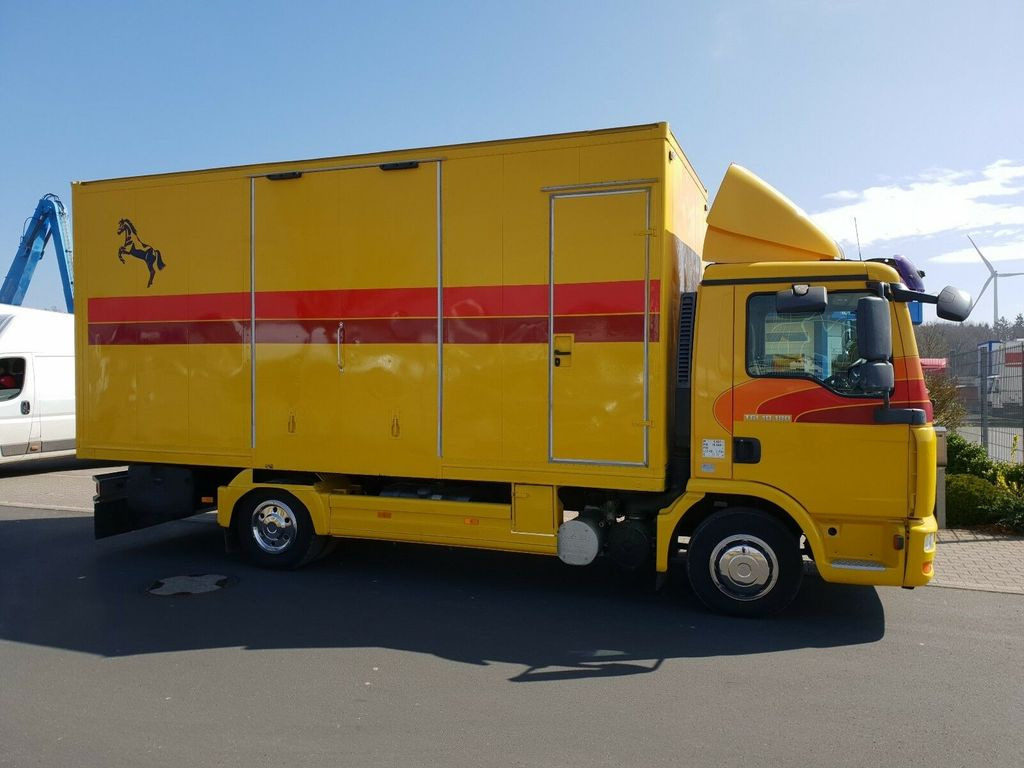 شاحنة نقل خيل MAN TGL 10.180 Euro 4  Pferdetransporter Horse: صور 3