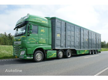 شاحنة نقل المواشي نصف مقطورة Menke-Janzen 5 stock: صور 1