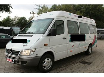 صغيرة, ميكروباص Mercedes-Benz 2X Sprinter 413 CDI: صور 1