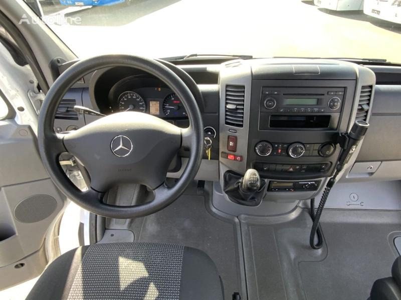 صغيرة, ميكروباص Mercedes Sprinter 516 CDI: صور 19