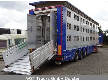شاحنة نقل المواشي نصف مقطورة Michieletto 3 Stock  Vollausstattung Hubdach: صور 1