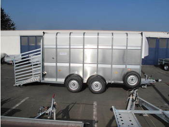 Ifor Williams TA510 427x178x214cm Rampe 3,5 t  VORLAUF  - شاحنة نقل المواشي مقطورة
