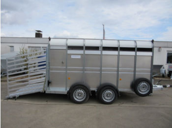 Ifor Williams TA 510 G 12 x 6´, 366x178x183cm 3,5t VORRAT  - شاحنة نقل المواشي مقطورة