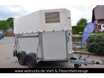 Westfalia Holz Plane 2 Pferde  - شاحنة نقل المواشي مقطورة
