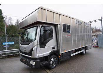 شاحنة نقل المواشي شاحنة IVECO EuroCargo