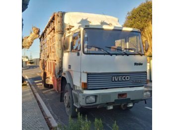 IVECO 175.24 Turbo left hand drive 19 ton Manual Telma Cattle - شاحنة نقل المواشي شاحنة