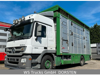 Mercedes-Benz Actros 1844  Finkl Doppelstock Hubdach  - شاحنة نقل المواشي شاحنة