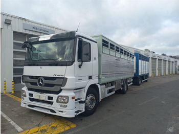 شاحنة نقل المواشي شاحنة MERCEDES-BENZ Actros
