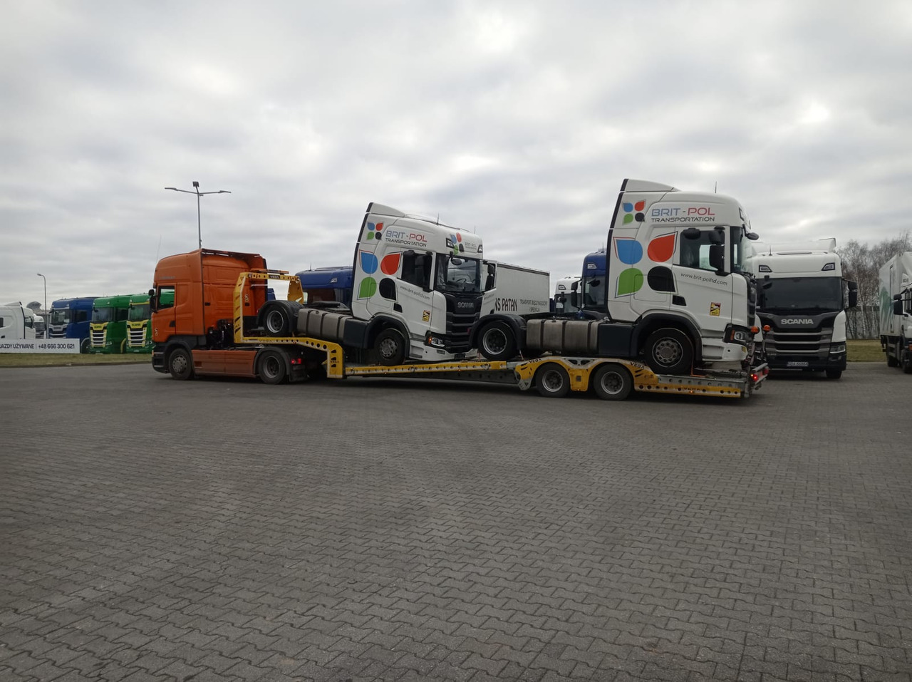 شاحنة نقل سيارات نصف مقطورة لنقل المعدات الثقيلة جديد VEGA-S (2 AXLE TRUCK CARRIER): صور 9
