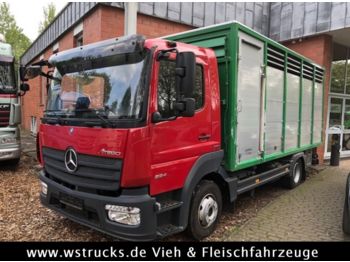 Mercedes-Benz 824L WST Edition"  Einstock Vollalu  - الشاحنات الصغيرة صندوق مغلق