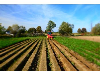 حصادة شاملة WEREMCZUK Carrot topper / Haulm topper BONA