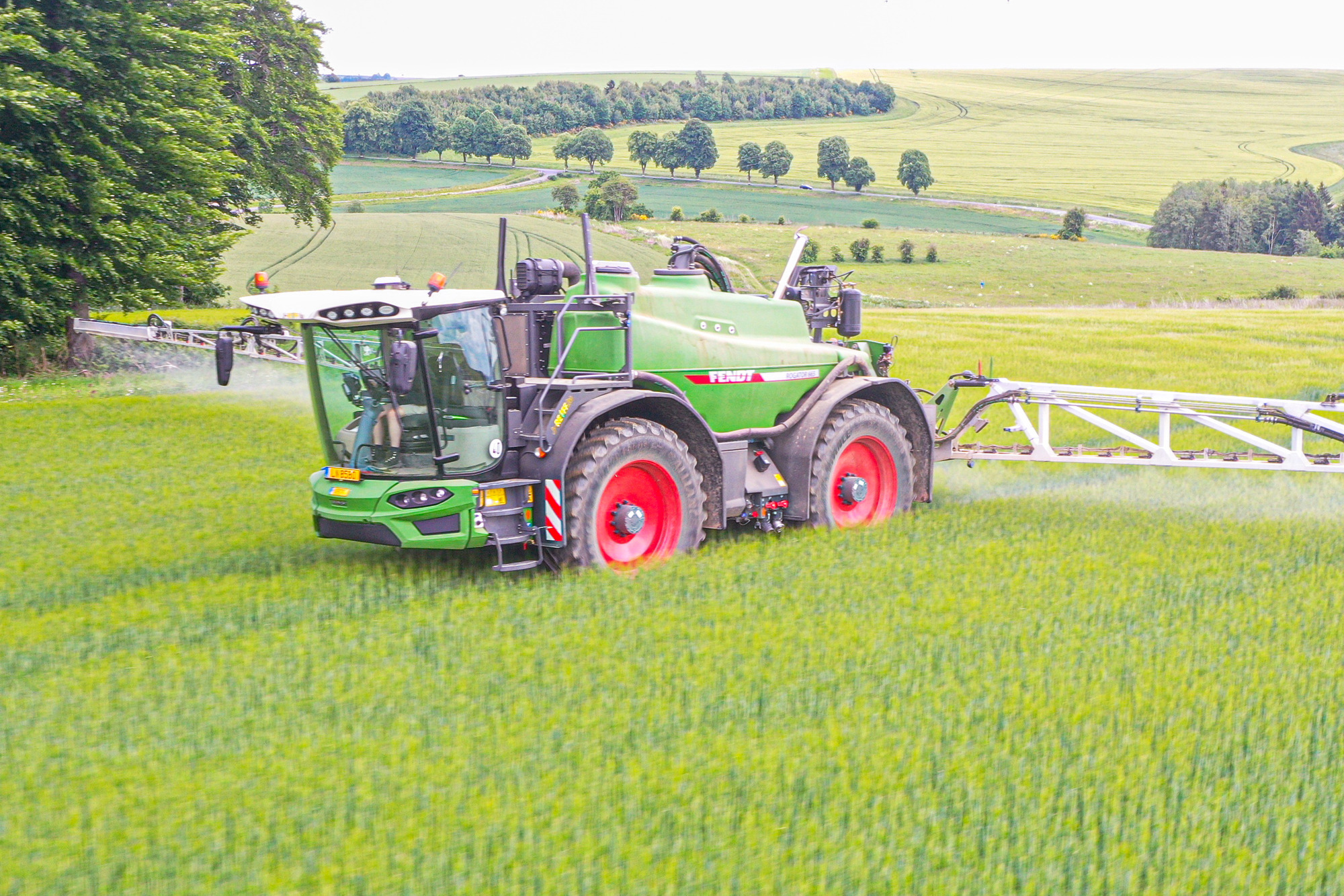 J.Reiff s. á r.l. undefined: صور 2