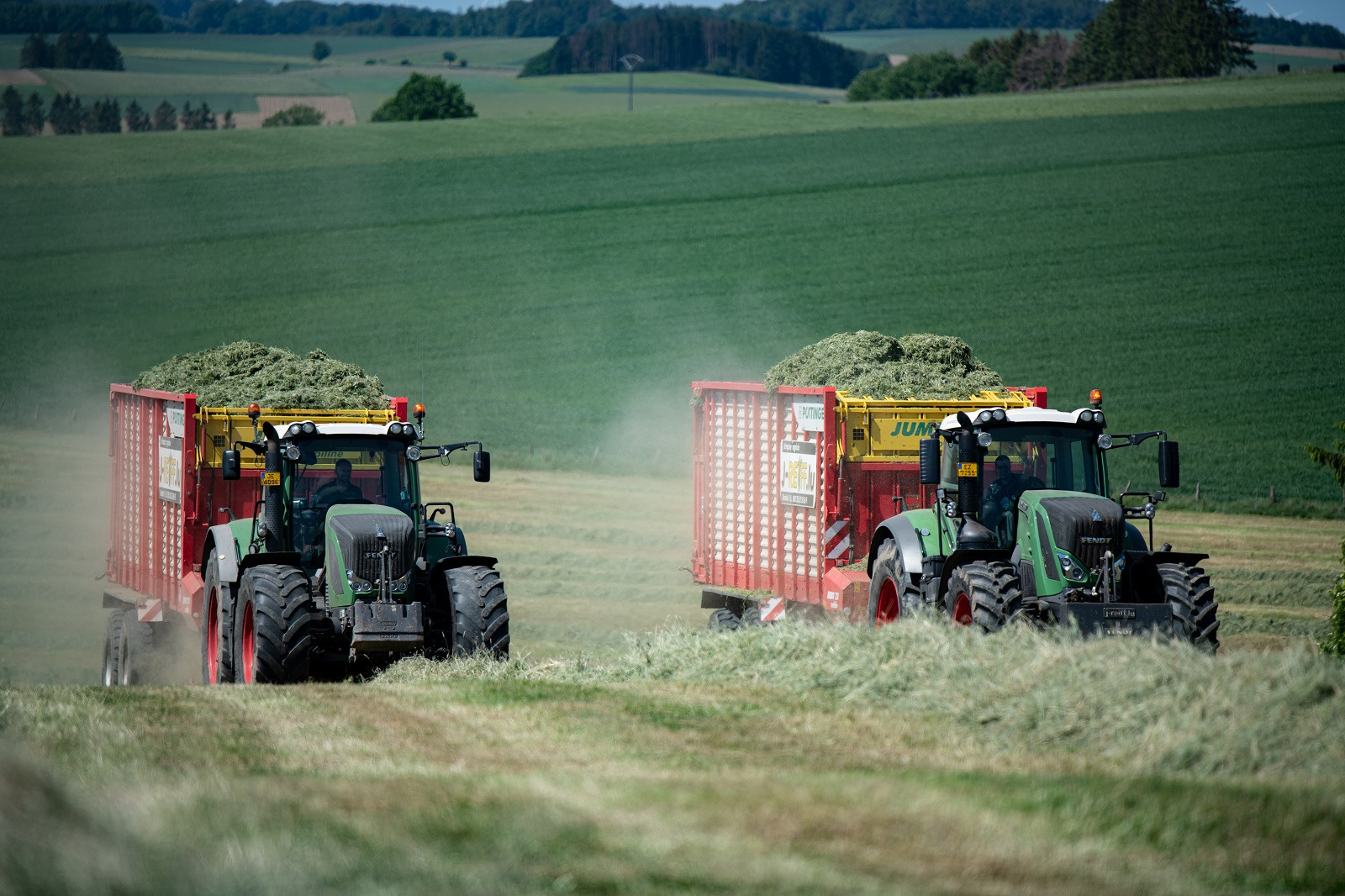 J.Reiff s. á r.l. undefined: صور 20