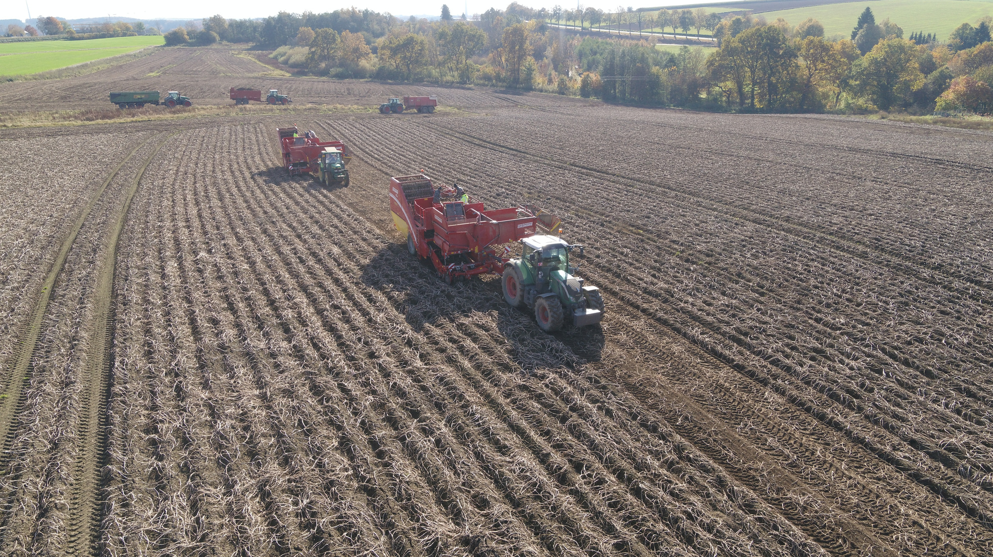 J.Reiff s. á r.l. undefined: صور 32