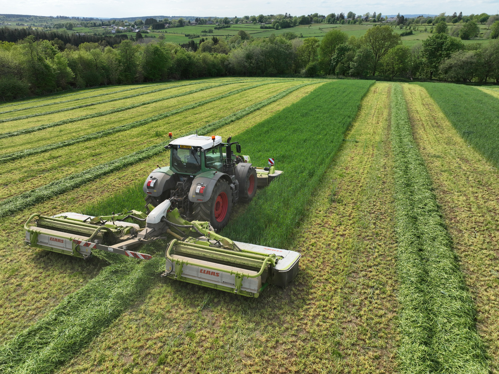 J.Reiff s. á r.l. undefined: صور 29