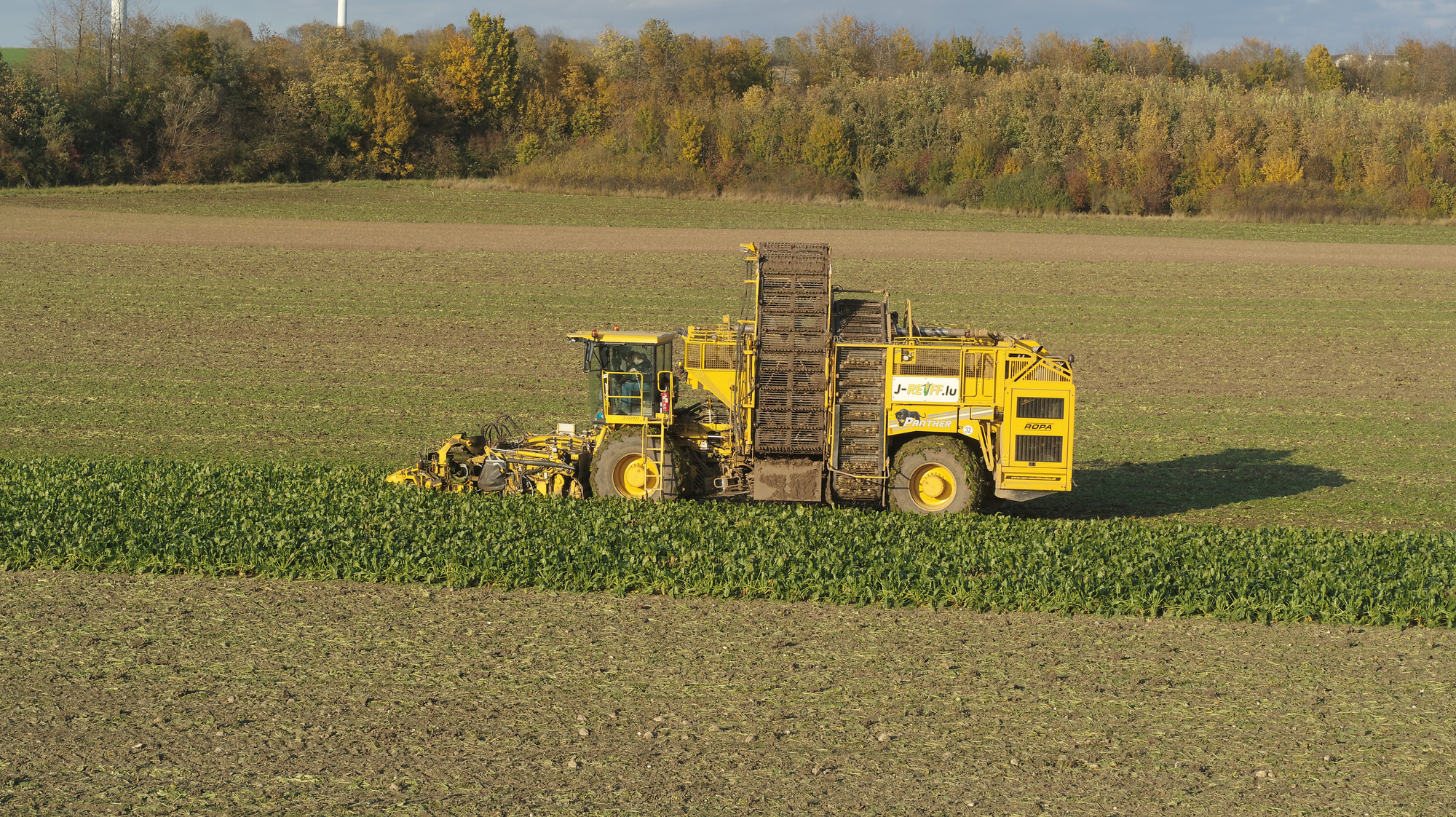 J.Reiff s. á r.l. undefined: صور 30