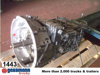 : صورة رأس الصفحة