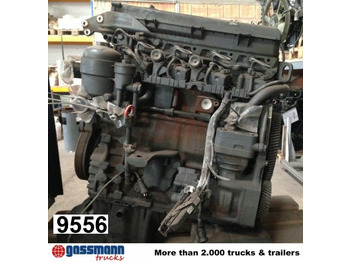 : صورة رأس الصفحة