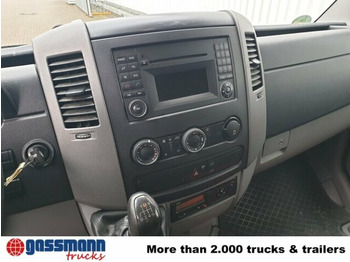 فان Mercedes-Benz Sprinter 313 KA 4x2: صور 2