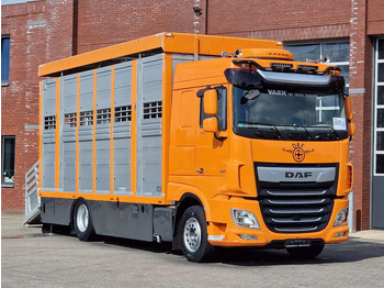 شاحنة نقل المواشي شاحنة DAF XF 530