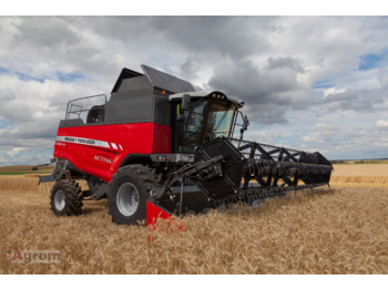 : صورة رأس الصفحة