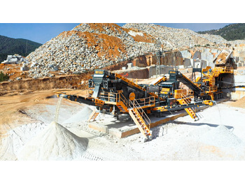 كسارة فكية جديد FABO mobile jaw crusher: صور 2