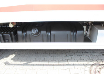 تأجير Daf LF 260 E6  Carrier Supra 550   Strom  Tür   LBW Daf LF 260 E6  Carrier Supra 550   Strom  Tür   LBW: صور 4