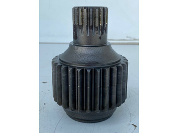 : صورة رأس الصفحة