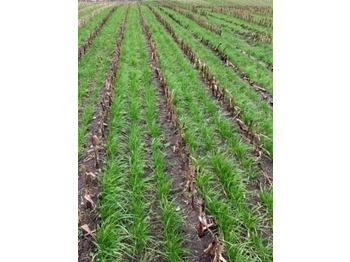 الات ومعدات معاملات مابعد الحصاد Gaspardo ***CropSeed*** Frøudstyr til radrenser: صور 5