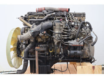 : صورة رأس الصفحة