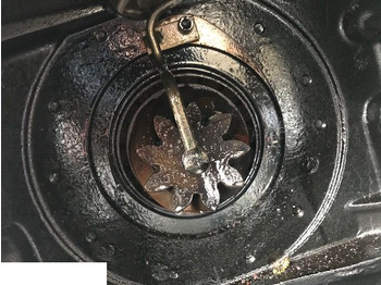 التفاضلية والعتاد CLAAS