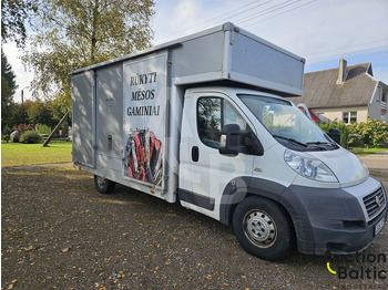 الشاحنات الصغيرة Fiat Ducato: صور 3