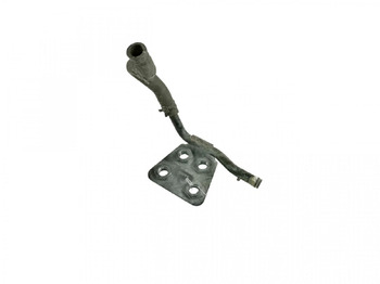 : صورة رأس الصفحة