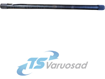 : صورة رأس الصفحة