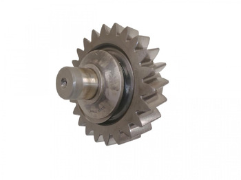 : صورة رأس الصفحة