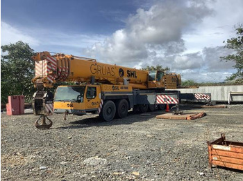 رافعة لجميع التضاريس LIEBHERR