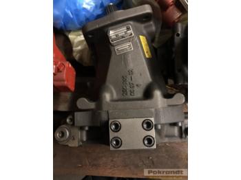 : صورة رأس الصفحة