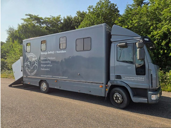 شاحنة نقل المواشي شاحنة لنقل الحيوانات IVECO 75E: صور 2