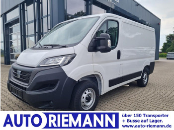 فان المدمجة FIAT Ducato