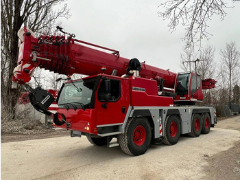 رافعة لجميع التضاريس LIEBHERR LTM 1090-4.2