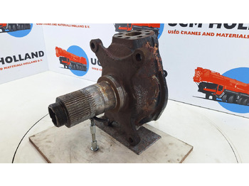 : صورة رأس الصفحة