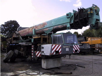رافعة لجميع التضاريس TEREX