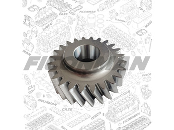 : صورة رأس الصفحة