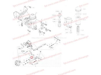 : صورة رأس الصفحة