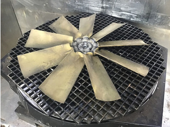 : صورة رأس الصفحة