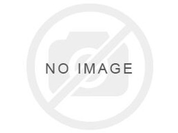 مِکشاف LIEBHERR